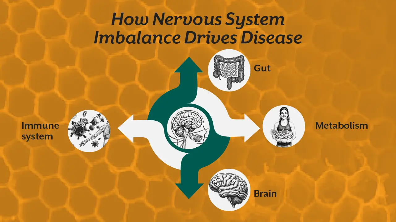 how-nervous-system-imbalance-drives-disease