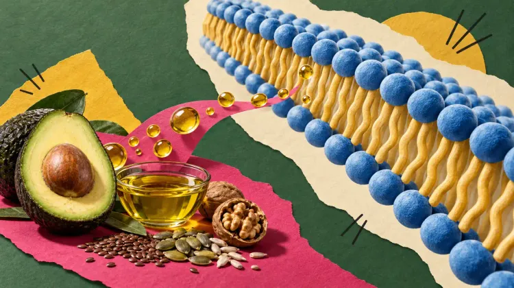Master the Science of Lipids