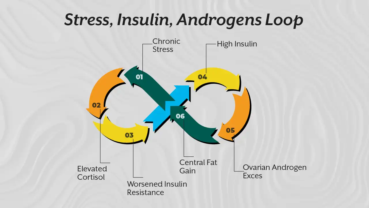 stress-insilin-androgens-loop
